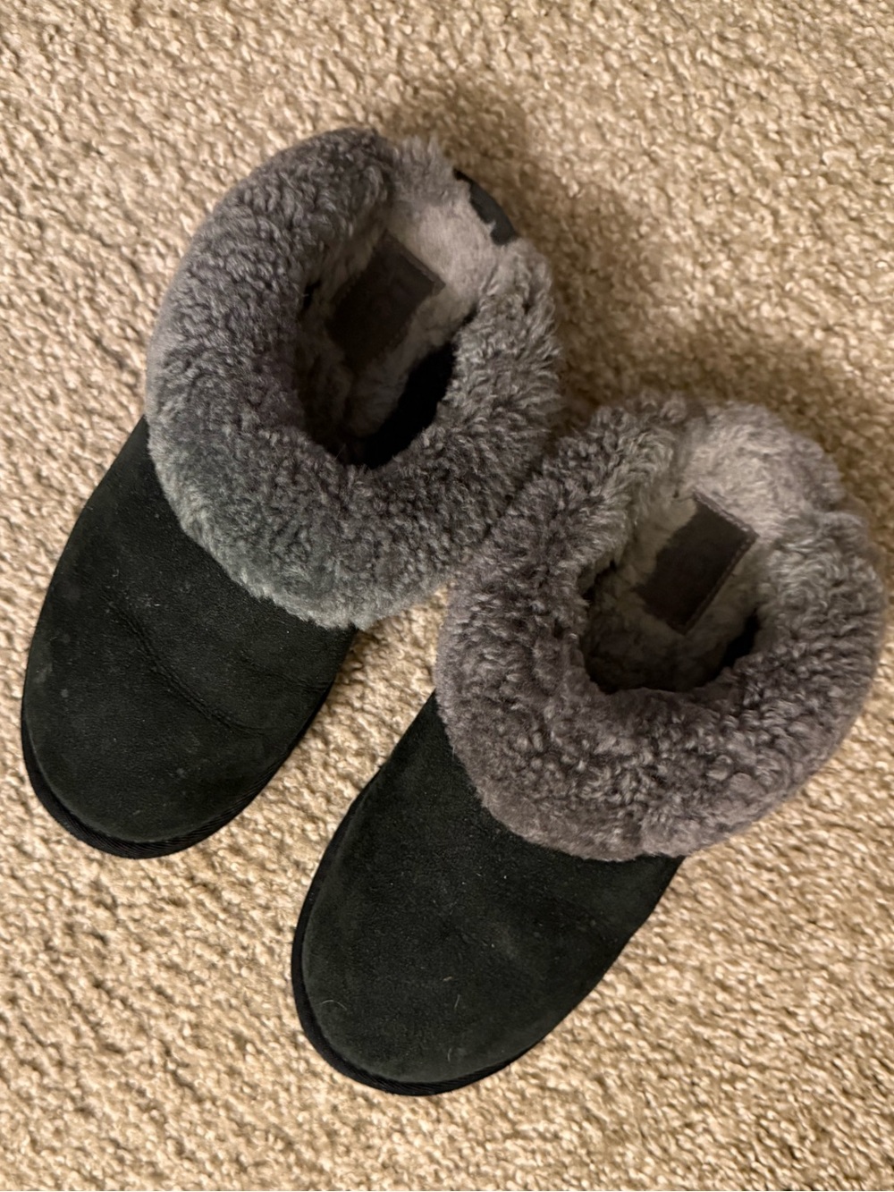 UGG Women's Black Suede Slipper with Gray Shearling Cuff